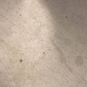 Meet your Posher, Anika